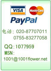 ���ݻ���绰,QQ,MSN
