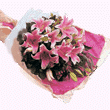 �ʻ��ٵ�-�ٺϻ�