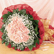 �ʻ��ٵ�-����ܰ